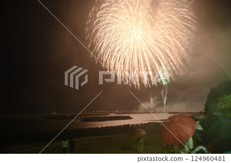 Kunisaki City (Musashi Town) Oita Joint Newspaper Fireworks Festival Musashi Venue 124960481