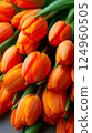 Orange tulips on a black background 124960505