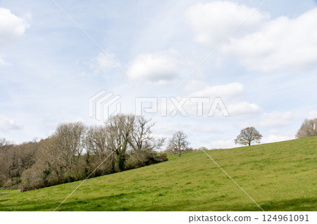 A large tree with new buds emerging in early spring stands on a grassy hill under a cloudy sky in the Valley of the Ouse, on the outskirts of London A large tree with new buds emerging in early spring stands on a grassy hill under a cloudy sky in the Valley of the Ouse, on the outskirts of London 124961091