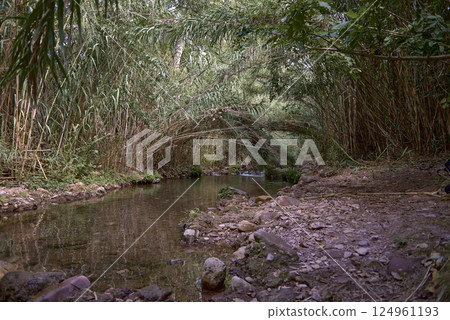 Small waterfall in a mountain river on a sunny day 124961193
