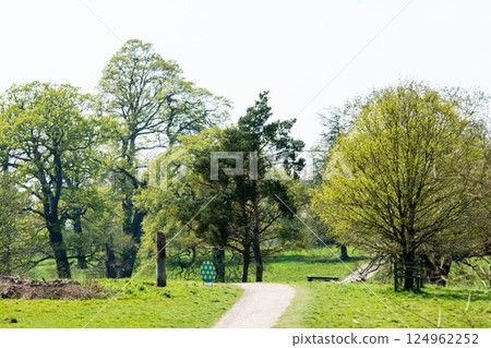 A road surrounded by trees and grass under bright sunlight in Hatchlands, a suburb of London A road surrounded by trees and grass under bright sunlight in Hatchlands, a suburb of London 124962252