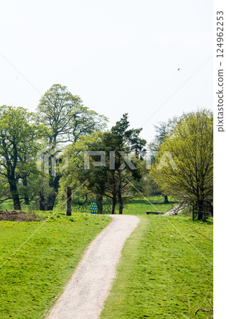 倫敦郊區哈奇蘭茲，一條陽光明媚、樹木和草地環繞的道路 124962253