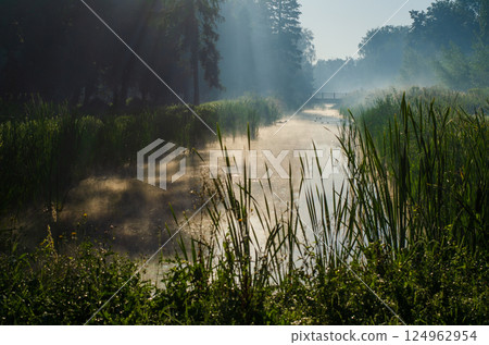 Morning on the river early morning reeds mist fog and water surface on the river 124962954