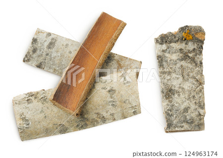 piece of aspen bark isolated on white background. Top view, flat lay piece of aspen bark isolated on white background. Top view, flat lay 124963174