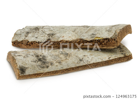 piece of aspen bark isolated on white background. 124963175