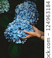 Hydrangea floating in the palm of your hand 124963184