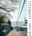 Cherry blossoms in full bloom and a view of the strait 124963321