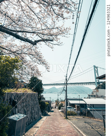 Cherry blossoms in full bloom and a view of the strait Cherry blossoms in full bloom and a view of the strait 124963321