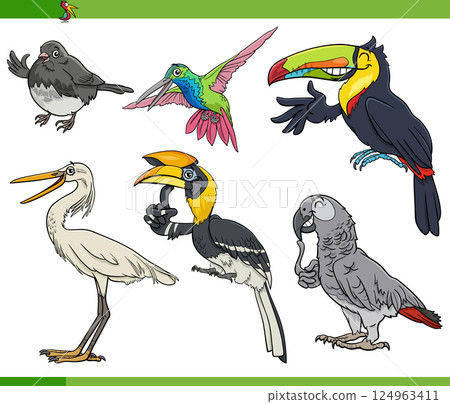 cartoon wild birds species animal characters set 124963411