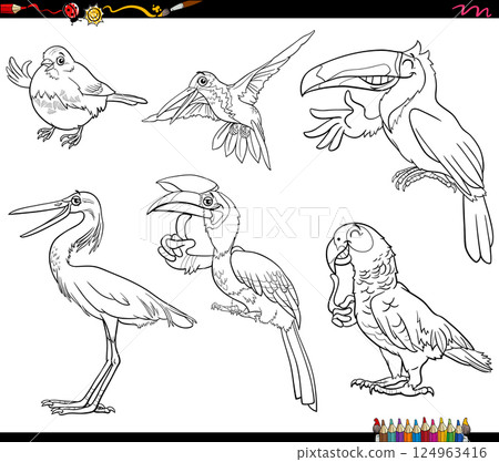 cartoon wild birds species animal characters set coloring page 124963416