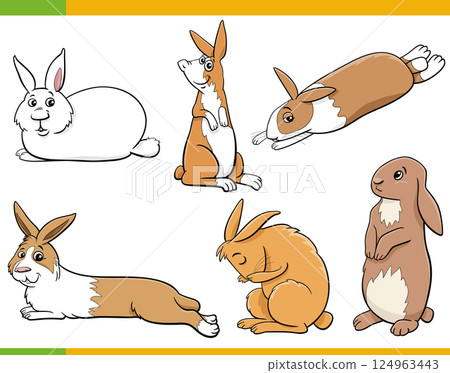 cute cartoon miniature rabbits animal characters set cute cartoon miniature rabbits animal characters set 124963443