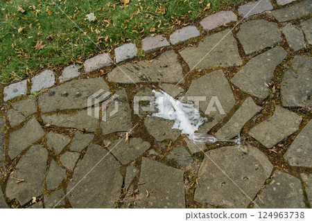 A single white feather is gently resting on a stone walkway pathway A single white feather is gently resting on a stone walkway pathway 124963738