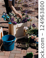 A woman arranges a beautiful assortment of flowers in a bucket 124963800
