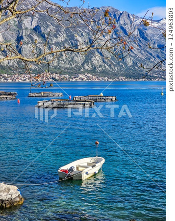 Oyster Farm Experience in Montenegro 124963803