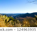 Japanese silver grass, blue sky and mountains 124963935