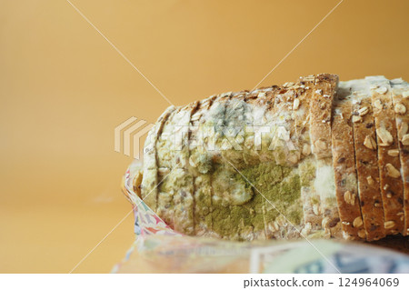 Close-Up of Mold-Infested Bread Slice on Orange Background Close-Up of Mold-Infested Bread Slice on Orange Background 124964069
