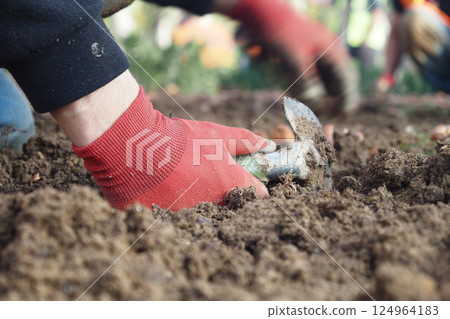 Hands Engaged in Working with Soil Using Various Gardening Tools Hands Engaged in Working with Soil Using Various Gardening Tools 124964183
