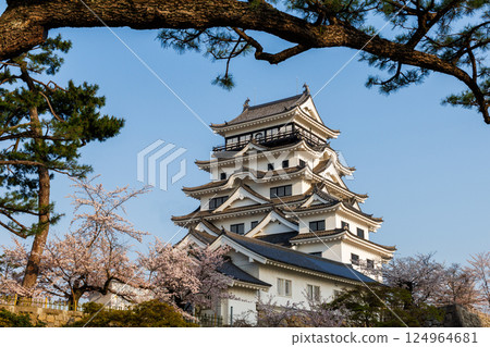 Fukuyama Castle and cherry blossoms in spring 124964681