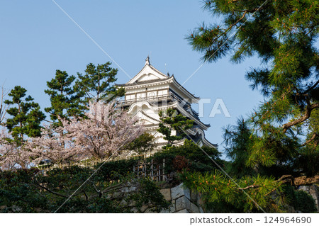 Fukuyama Castle and cherry blossoms in spring Fukuyama Castle and cherry blossoms in spring 124964690