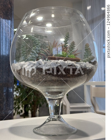 Elegant Succulent Terrarium in Large Curved Glass Vase 124964866