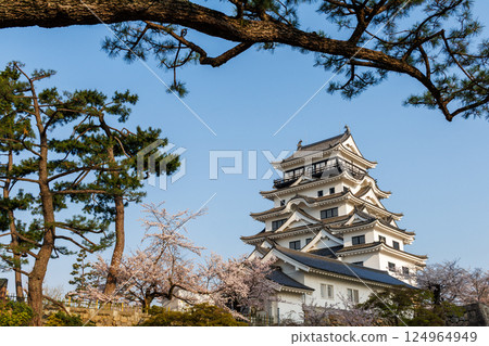 Fukuyama Castle and cherry blossoms in spring Fukuyama Castle and cherry blossoms in spring 124964949