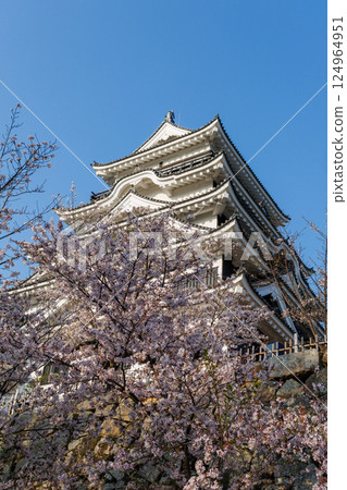 Fukuyama Castle and cherry blossoms in spring Fukuyama Castle and cherry blossoms in spring 124964951