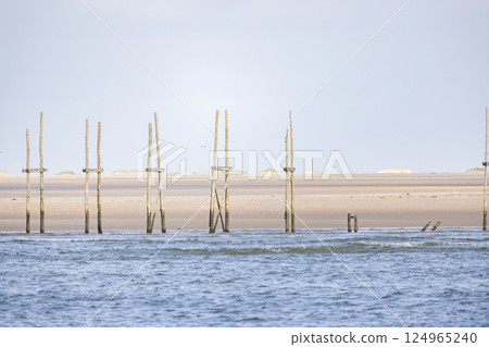 Experience a breathtaking scenic coastal view featuring wooden poles during the serene low tide 124965240
