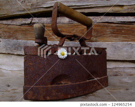 Antique iron with chamomile: the contrast of the past and nature Antique iron with chamomile: the contrast of the past and nature 124965254