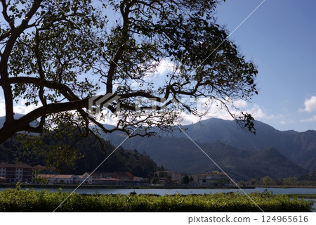 Stunning view of a bending tree branch against the background of the river, rugged mountains with forest and houses in Ribadesella, Asturias, Spain Stunning view of a bending tree branch against the background of the river, rugged mountains with forest and houses in Ribadesella, Asturias, Spain 124965616