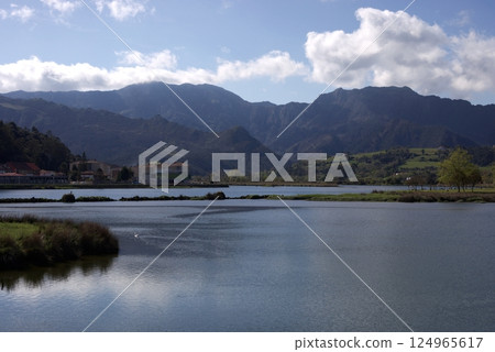 Scenic view of river wetlands and mountains in Ribadesella, Asturias, Spain, on a sunny day with a white goose 124965617