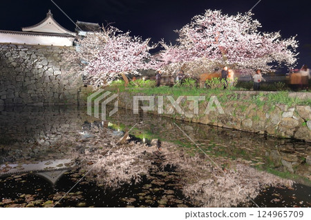 [福岡縣]舞鶴公園（福岡城）櫻花燈飾 124965709