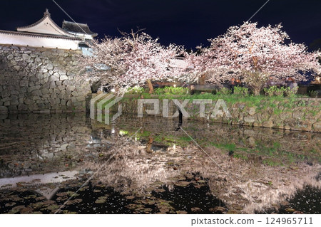 [福岡縣]舞鶴公園（福岡城）櫻花燈飾 124965711