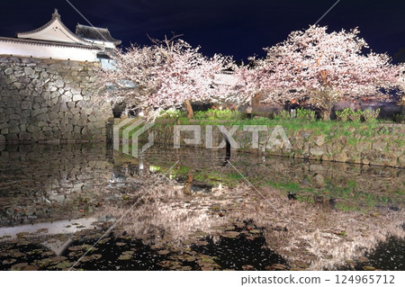 [Fukuoka Prefecture] Cherry blossom illumination at Maizuru Park (Fukuoka Castle) 124965712