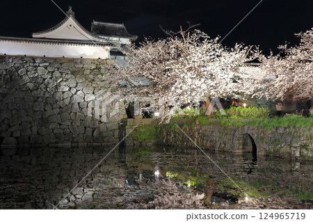 [福岡縣]舞鶴公園（福岡城）櫻花燈飾 124965719