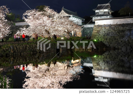 [Fukuoka Prefecture] Cherry blossom illumination at Maizuru Park (Fukuoka Castle) 124965725