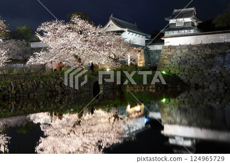 [Fukuoka Prefecture] Cherry blossom illumination at Maizuru Park (Fukuoka Castle) 124965729