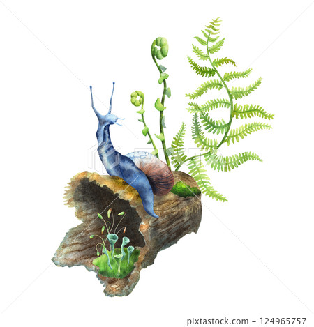 Cute absrtact blue snail on a green moss with a fern tree and low forest mushrooms.. Hand drawn watercolors isolated on white background. Biophilic style, ideal for ecological and spiritual topics 124965757