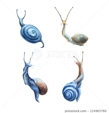 Set of low forest animals: snails. Clipart with brown and blue shades. Hand drawn watercolors isolated on white background. Biophilic style, ideal for ecological and spiritual topics 124965760