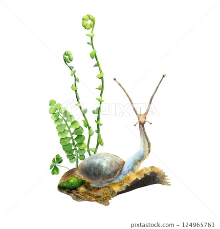 Cute absrtact blue snail on a green moss with a fern tree and low forest mushrooms.. Hand drawn watercolors isolated on white background. Biophilic style, ideal for ecological and spiritual topics Cute absrtact blue snail on a green moss with a fern tree and low forest mushrooms.. Hand drawn watercolors isolated on white background. Biophilic style, ideal for ecological and spiritual topics 124965761