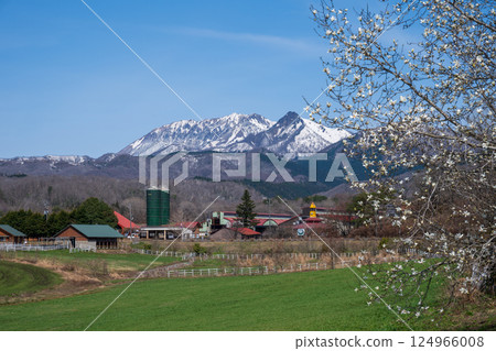 Beautiful spring scenery of Hiruzen Plateau in Maniwa City, Okayama Prefecture, Japan 124966008