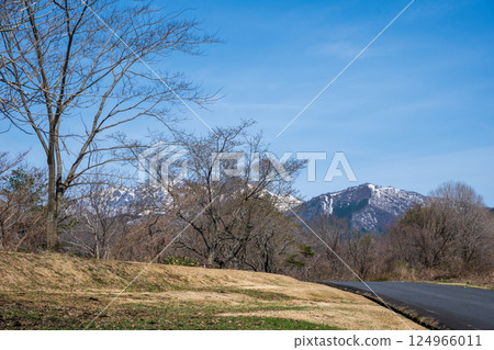 Beautiful spring scenery of Hiruzen Plateau in Maniwa City, Okayama Prefecture, Japan 124966011