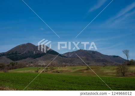 Beautiful spring scenery of Hiruzen Plateau in Maniwa City, Okayama Prefecture, Japan 124966012
