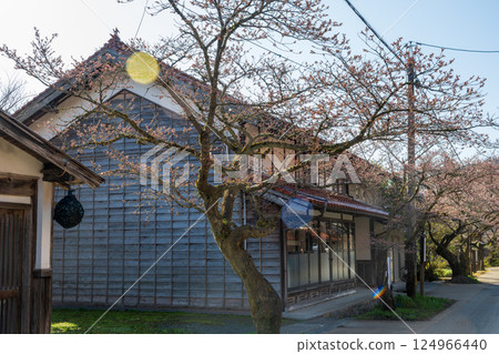 Beautiful spring scenery in Shinjo Village, Okayama Prefecture, Japan 124966440