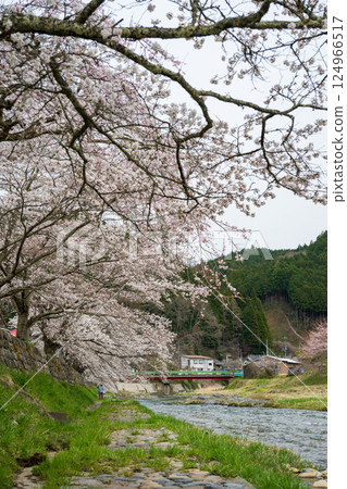 Beautiful spring scenery and old buildings in Mikanjuku, Maniwa city, Okayama prefecture, Japan Beautiful spring scenery and old buildings in Mikanjuku, Maniwa city, Okayama prefecture, Japan 124966517