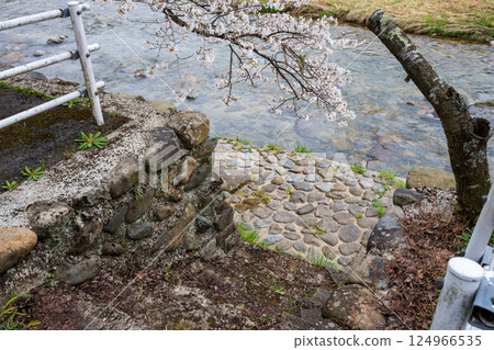 Beautiful spring scenery and old buildings in Mikanjuku, Maniwa city, Okayama prefecture, Japan Beautiful spring scenery and old buildings in Mikanjuku, Maniwa city, Okayama prefecture, Japan 124966535