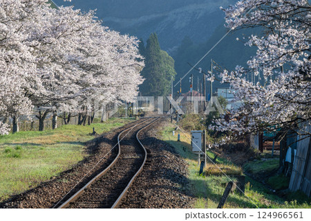 日本岡山縣真庭市月田站的美麗春景 124966561
