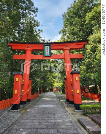Red torii Red torii 124966777