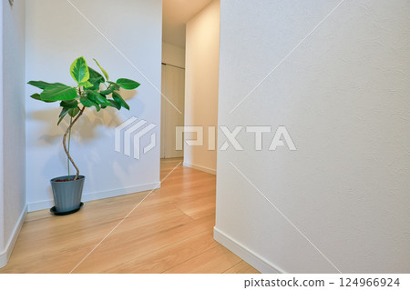 住宅圖片：新建房屋美麗的入口走廊 124966924