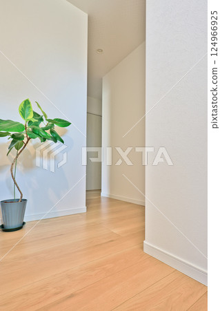 Residential image: Beautiful entrance hallway of a newly built house 124966925