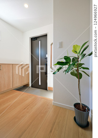 Residential image: A beautiful entrance to a newly built house 124966927